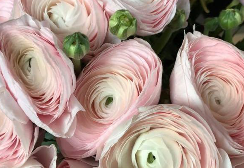 a blog about planning a wedding